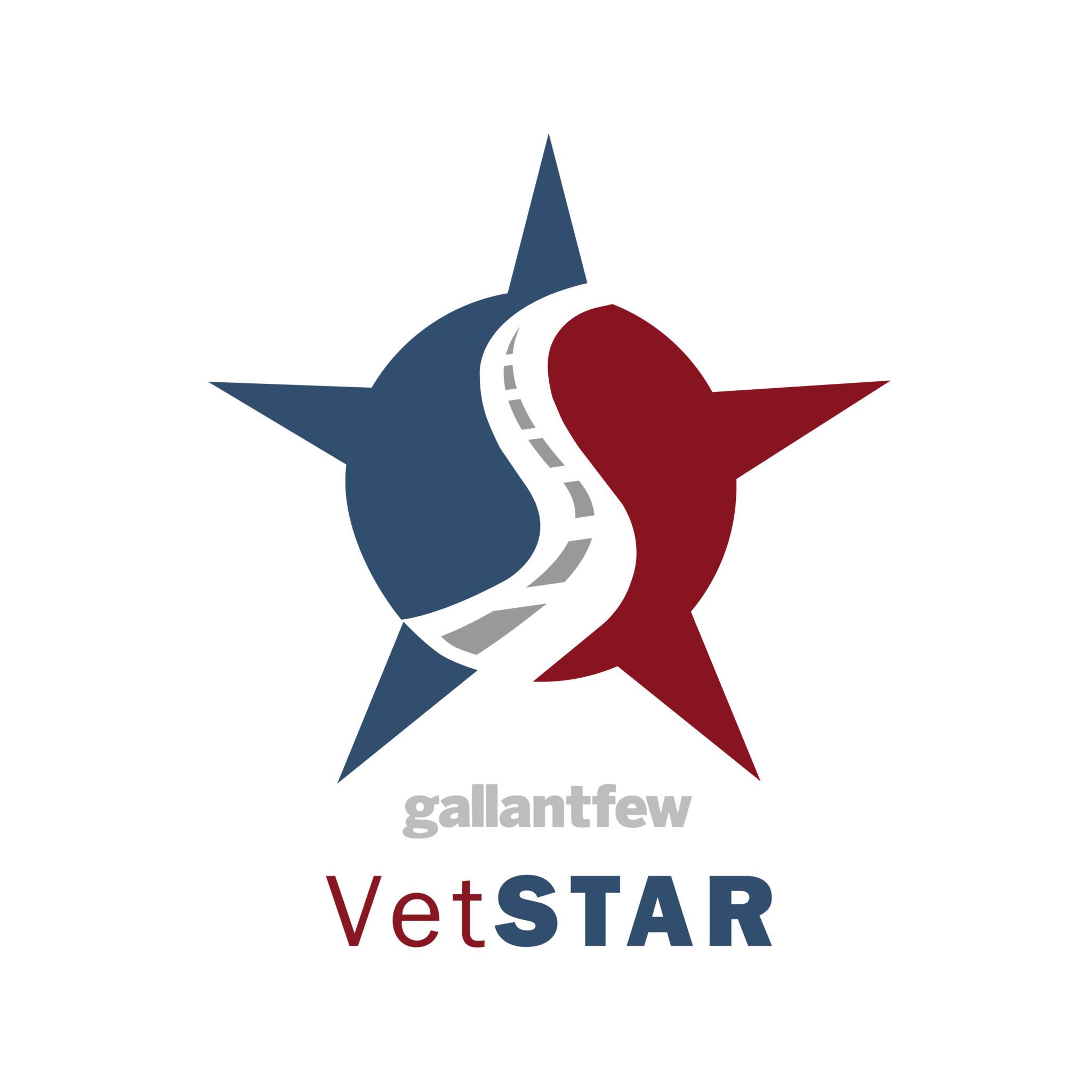 VetSTAR full colo logo
