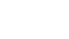 Classic Chevrolet all white logo